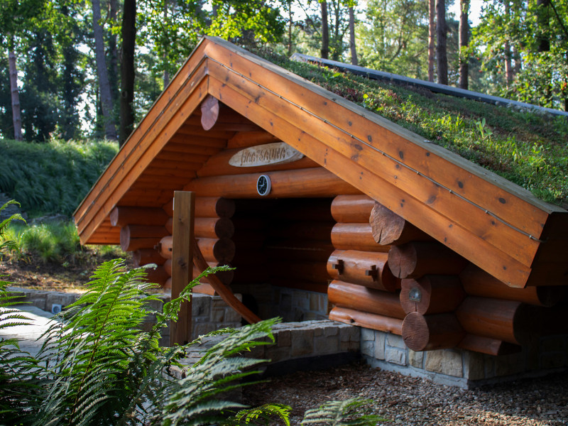 Blokhutsauna in de groene tuin van wellnessresort Hezemeer